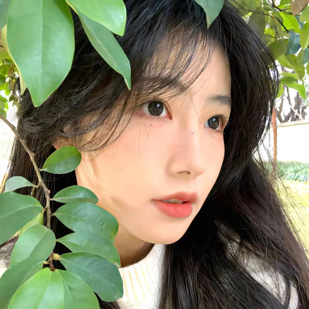 牙仙